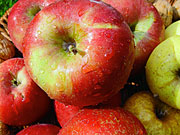 Apfel