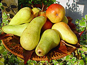 Birnen