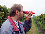 Gerhard Paradeiser