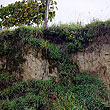 Lößboden