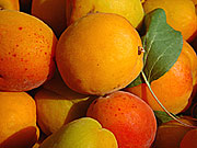Marillen